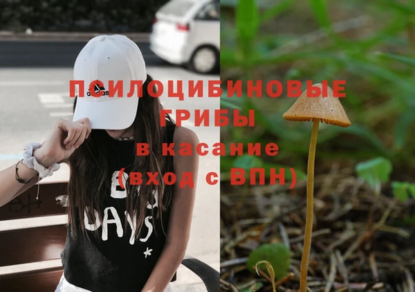 мескалин Кинешма
