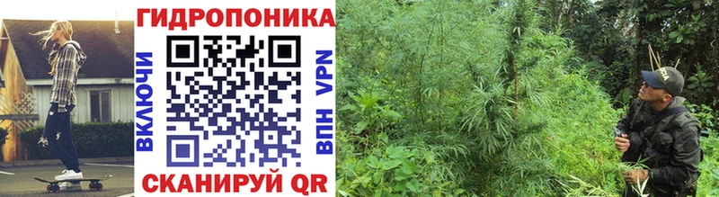 Шишки марихуана индика  где купить   Орехово-Зуево 