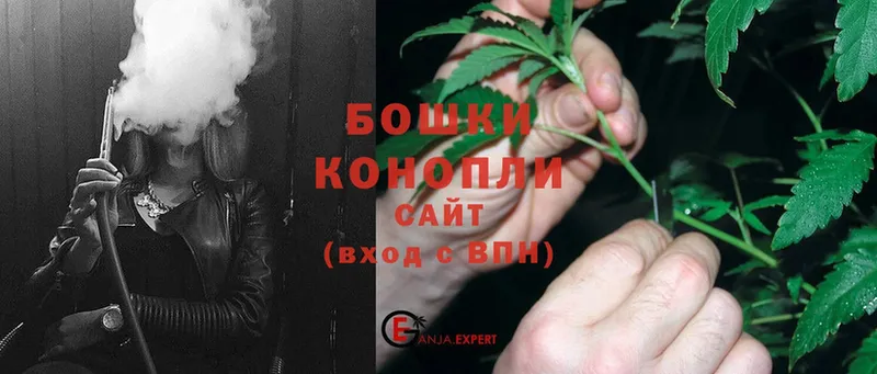 Конопля Ganja  Орехово-Зуево 